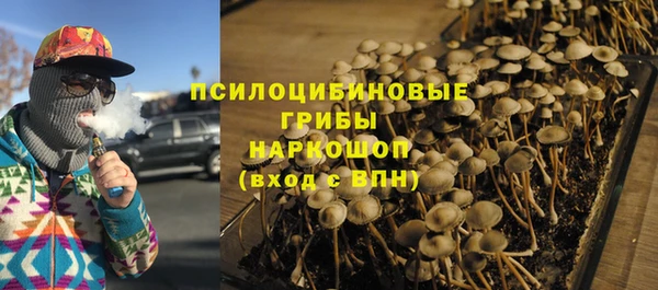 крисы Алексеевка
