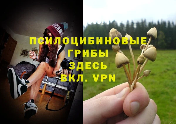 a pvp Армянск