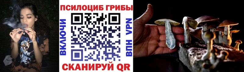 наркотики Аркадак Псилоцибиновые грибы Psilocybe